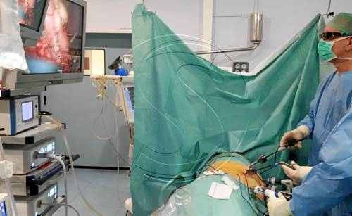 Nova tecnologia a l'Arnau per a les operacions de pròstata i ronyó