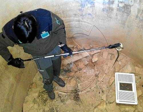Alcarràs captura una trentena de gossos salvatges en 6 mesos