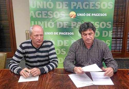 UP demana que s'investigui la competència en els preus