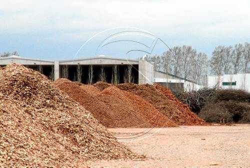 El Parlament vol revisar el tràmit de la planta de biomassa de Nufri
