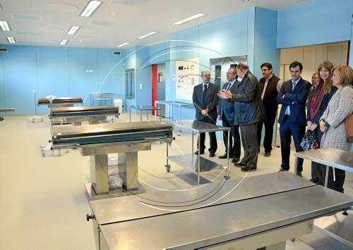 Obre el centre porcí de Torrelameu per formar metges i investigar
