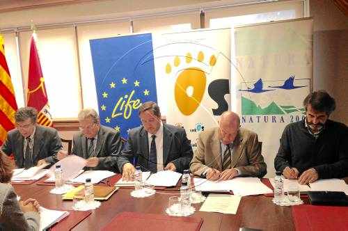 Ajornen al 2016 l'alliberament d'un altre ós al Pirineu per rellevar Pyros