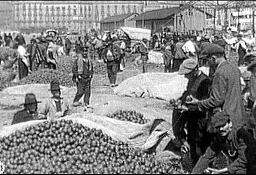 SEGRE regala un DVD sobre els cent anys de la Mancomunitat