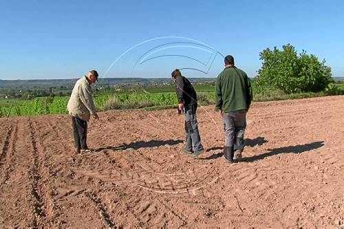 Els caçadors paren les batudes amb agents rurals al no tenir assegurança