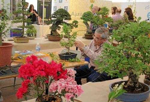 Ecojardí tanca la vintena edició amb 13.000 visitants