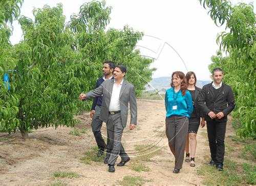 Empresaris dels Emirats Àrabs importaran fruita del Baix Cinca