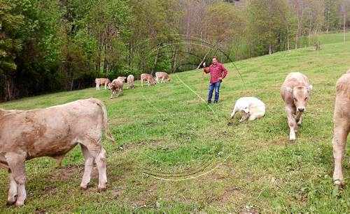 El Pallars Sobirà exigeix 'confinar' els óssos als boscos de la Generalitat