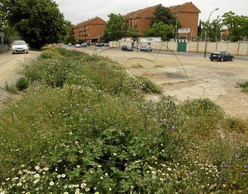 Pla per a 55 pisos i allargar 11 de Setembre fins a la Mariola