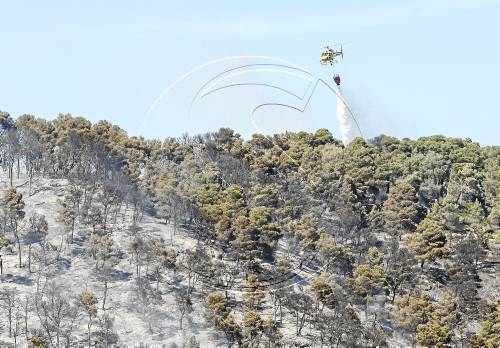 Donen per extingit l'incendi de Vallbona de les Monges