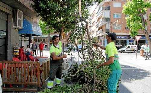 Ensurt al xocar un camió amb un arbre a la Bordeta