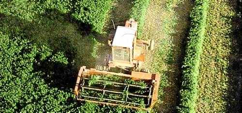 La província de Lleida ha perdut més de 400 beneficiaris de primes agràries des del 2007