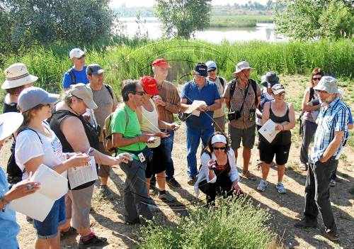 L'Estany manté activitats malgrat l'incendi d'una caseta d'informació