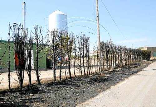 Investiguen el segon foc en 10 dies a l'Estany d'Ivars