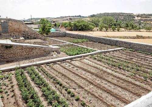 La Paeria de Cervera busca joves voluntaris per fer horts socials