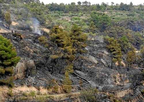 Un segon foc en deu dies a la Pobla de Cérvoles calcina tres hectàrees