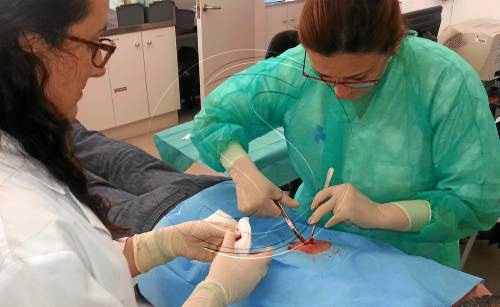 Els CAP de Lleida practiquen quinze operacions de cirurgia menor al dia
