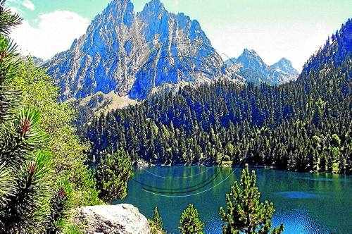 Peixos del Pirineu es 'feminitzen' per emissions contaminants en l'aire