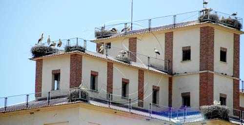 Edifici niu a Pardinyes