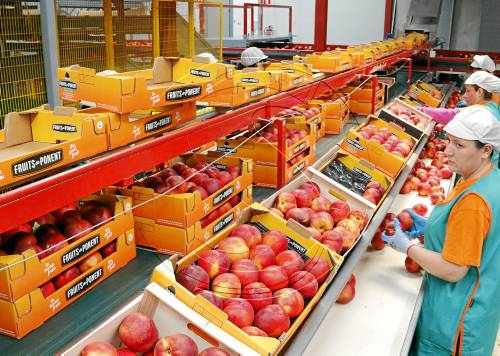 Fruits de Ponent supleix la pèrdua de Rússia amb nous clients europeus