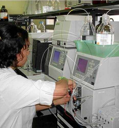 La UdL capta 13,6 milions en quatre anys de l'Estat per a investigació