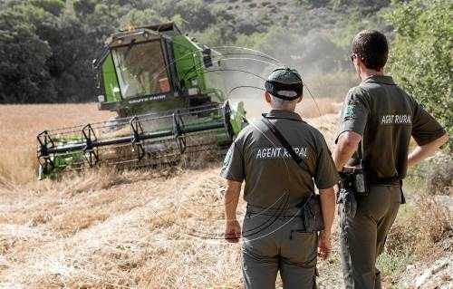 Control màxim a la sega per evitar incendis al camp