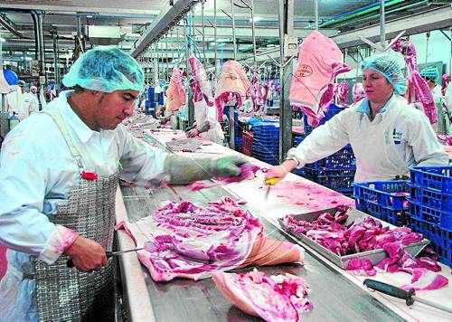 Lleida, líder en sacrificis de pollastres, amb gairebé 75 milions d'aus a l'any
