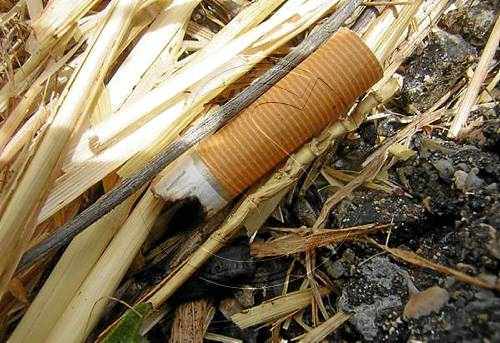Una burilla tirada des d'un cotxe va causar l'incendi de la Segarra