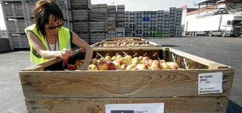 L'Europarlament demana millores en retirada de fruita