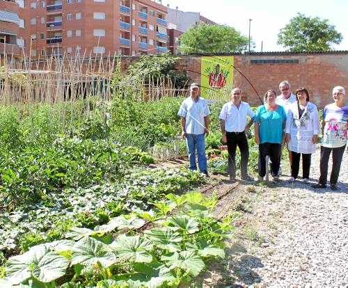 Horts urbans de Tàrrega donen els excedents al Banc d'Aliments