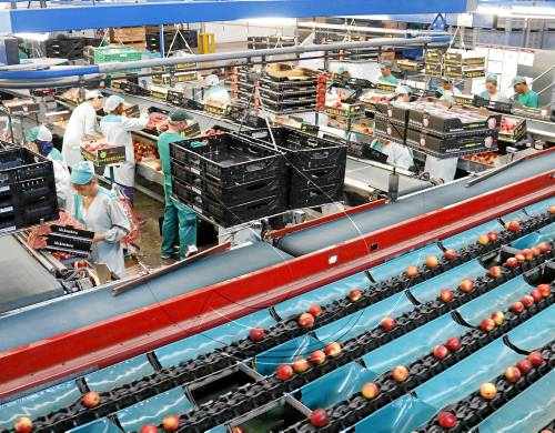 La calor incrementa un 15% la venda de fruita de centrals de Lleida