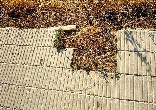 Turó de Gardeny denuncia una trentena de deficiències al barri