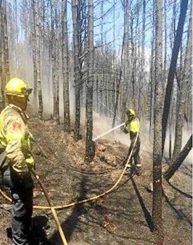 Onze dotacions de bombers a l'incendi de Bellver de Cerdanya