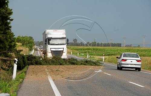 Arbres caiguts, carreteres tallades i destrosses per una gran tempesta