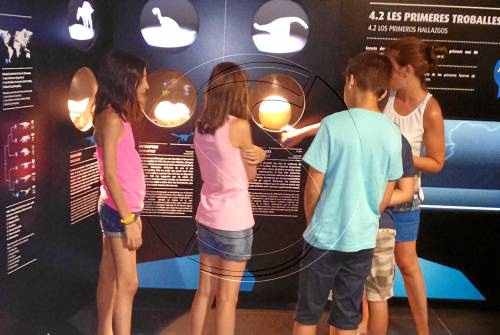 Coll de Nargó, 'paradís' d'ous i nius de dinosaures