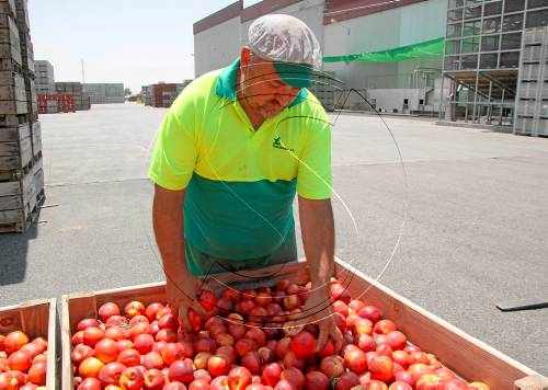 El sector de la fruita, amb l'esperança de les retirades de la UE a l'agost