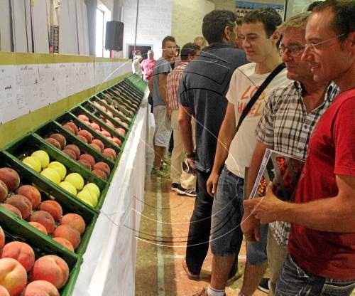 Els fructicultors de Lleida estan preparant mobilitzacions