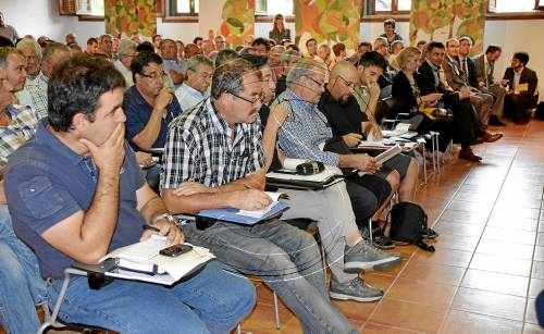 Gairebé 80.000 tones de fusta venudes en una subhasta conjunta històrica al Pont