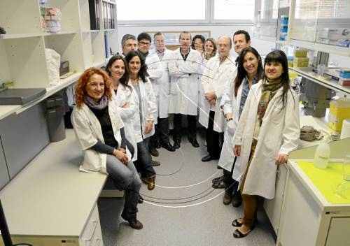 L'IRB aconsegueix 19 nous projectes d'investigació per 2,4 milions
