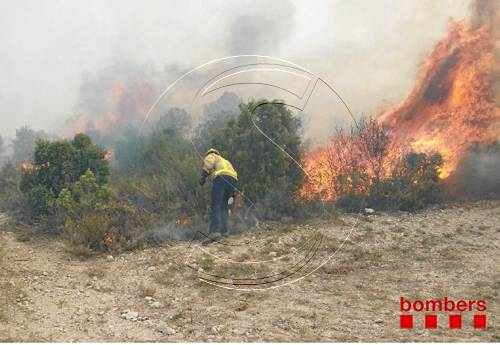 Un incendi causat per un llamp calcina gairebé set hectàrees a Seròs