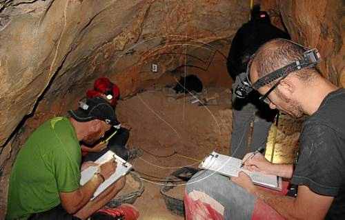 Descobreixen eines de neandertals a Senterada