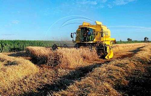 La producció agrària de Lleida cau un 9,5% el 2014 fins als 1.777 milions