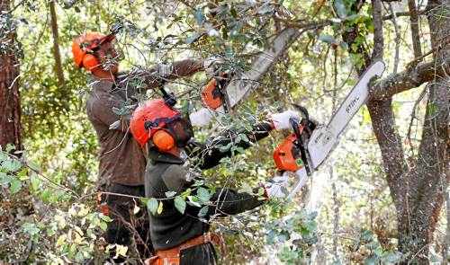 Milloren les zones naturals de Lleida