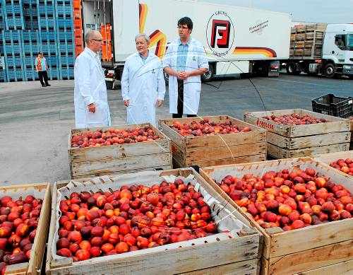 Petició a Madrid de més quota per retirar fruita per a sucs benèfics