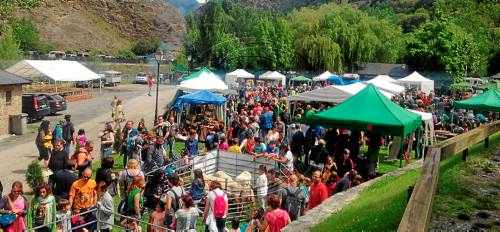 La xisqueta regna a la Fira de l'Ovella de Llavorsí vora la gastronomia local