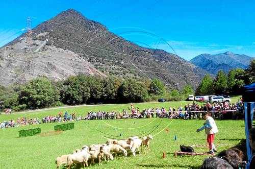 Els Gossos d'Atura de Llavorsí atreuen 2.000 persones