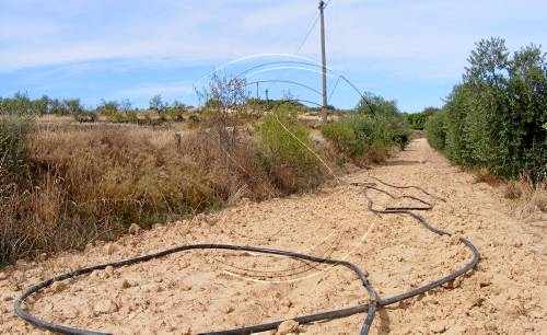 Detinguts per robar cable a Castelldans i deixar el poble sense telèfon