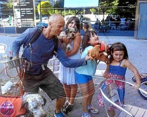 Pelegrins en adopció