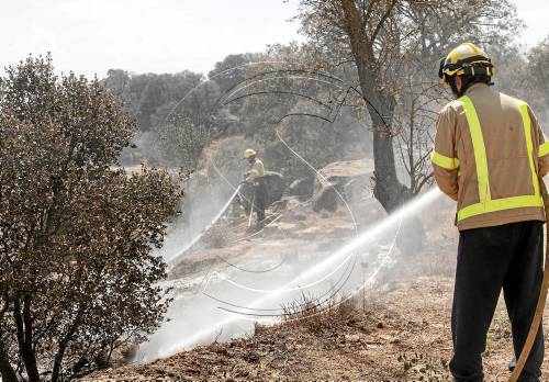 Cremen 6 hectàrees de vegetació agrícola a les Pallargues