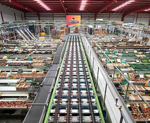 Fruits de Ponent consolida l'exportació de fruita de pinyol als mercats asiàtics
