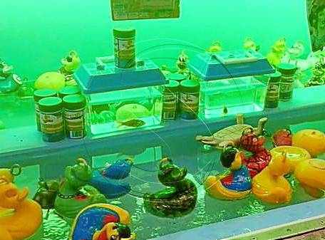 Multat un firaire a Bellpuig per donar peixos com a premi a la festa major